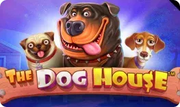 Greenluck Casino – The Dog House